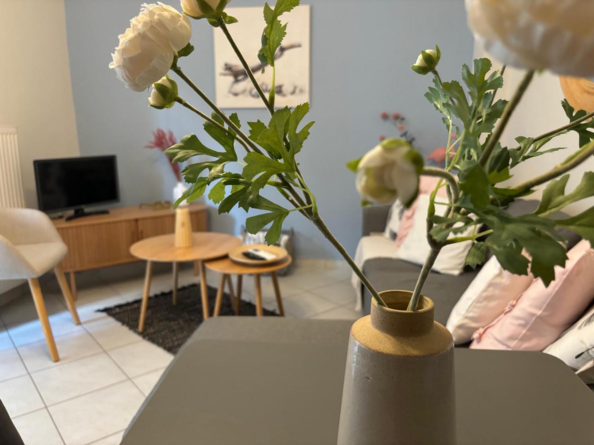 Blooming 31 Axd Apartment Alexandroupoli Exterior foto